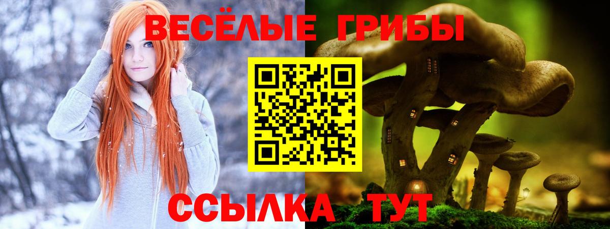 Псилоцибиновые грибы мицелий  Вход с VPN  Реутов 