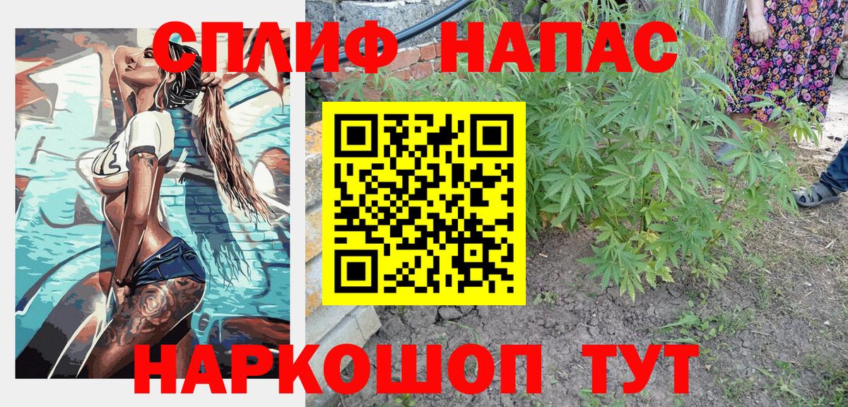 Бошки марихуана сатива Реутов